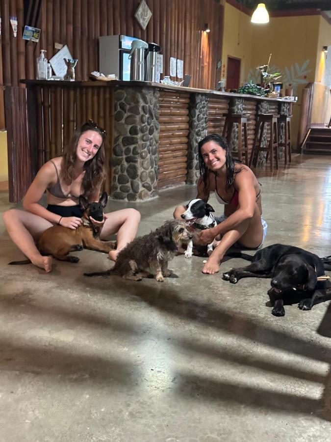 Luminosa Uvita Hostel Ngoại thất bức ảnh