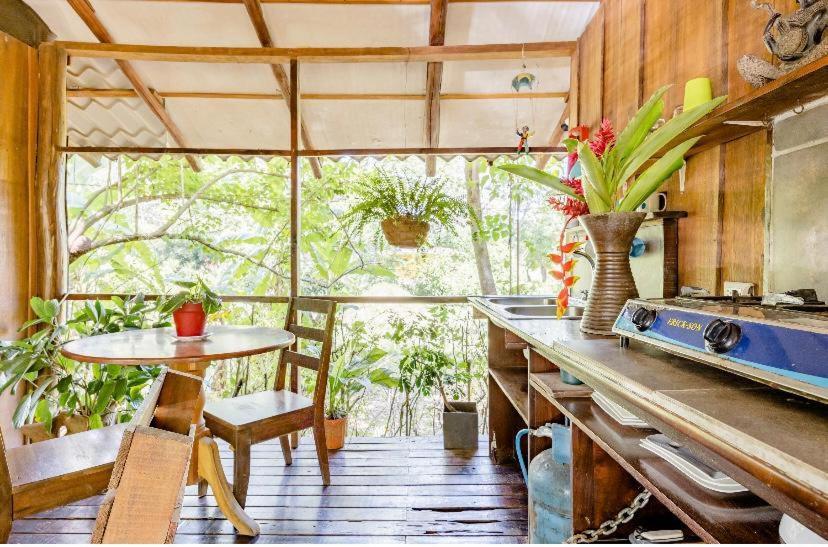 Luminosa Uvita Hostel Ngoại thất bức ảnh