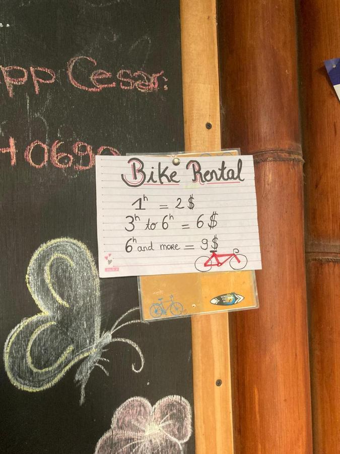 Luminosa Uvita Hostel Ngoại thất bức ảnh