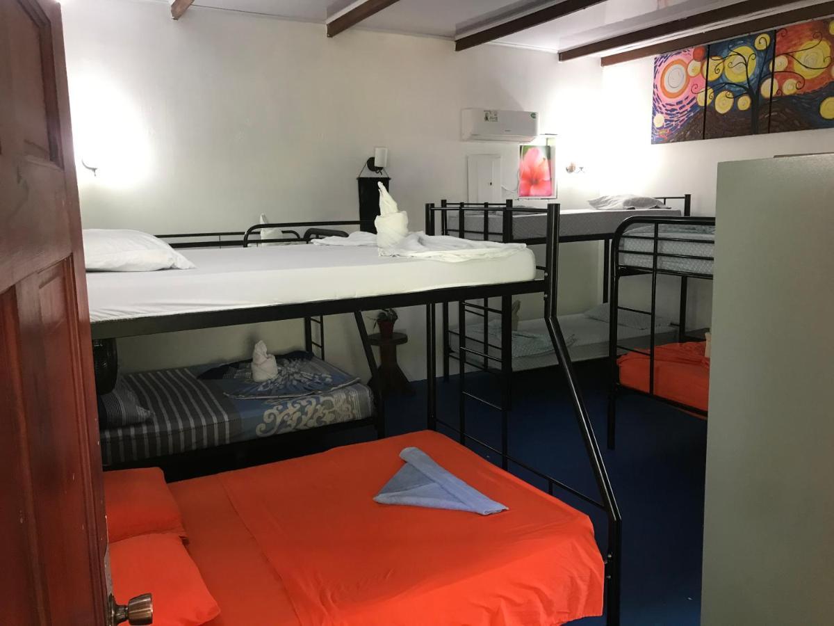 Luminosa Uvita Hostel Ngoại thất bức ảnh