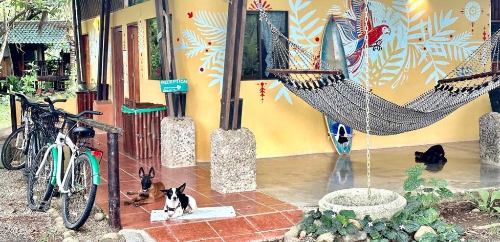Luminosa Uvita Hostel Ngoại thất bức ảnh