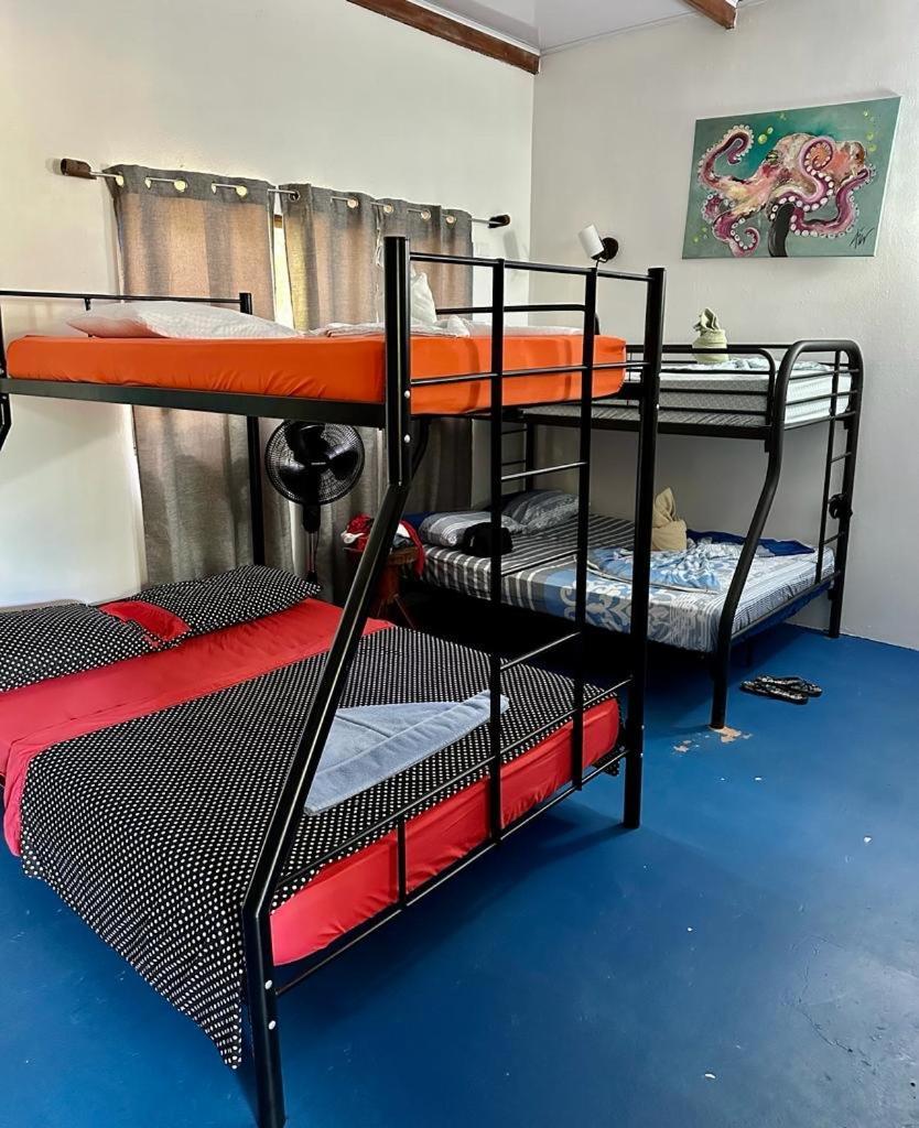 Luminosa Uvita Hostel Ngoại thất bức ảnh
